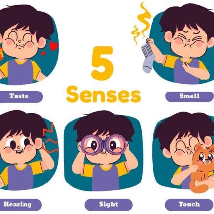 Exploring-the-5-Senses-for-Kids