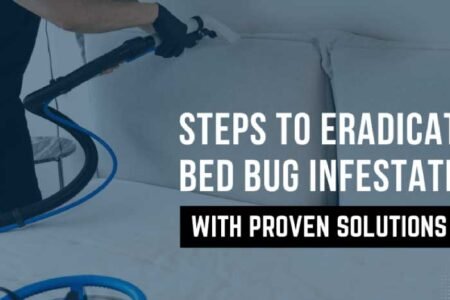 Steps-to-Eradicating-Bed-Bug-Infestation-with-Proven-Solutions