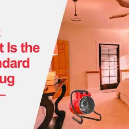 Why Bed Bugs Are More Active in the Fall and How to Stay Protected